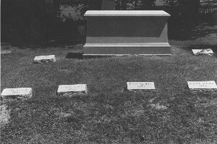 Ames monument & stones