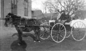 Elmer & Everett with pony